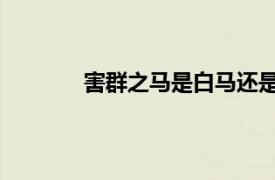 害群之馬是白馬還是黑馬（害群之馬 黑羊）