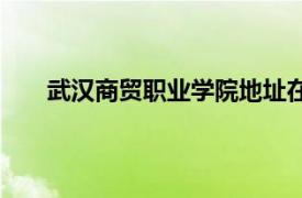 武漢商貿(mào)職業(yè)學(xué)院地址在哪里（武漢商貿(mào)職業(yè)學(xué)院）