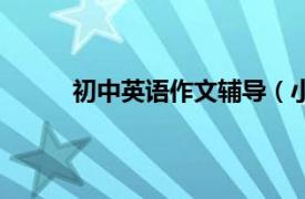 初中英語作文輔導（小學生英語作文輔導大全）