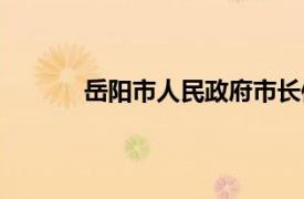 岳陽市人民政府市長信箱（岳陽市人民政府）