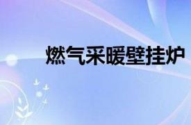燃氣采暖壁掛爐（家用燃氣壁掛爐）