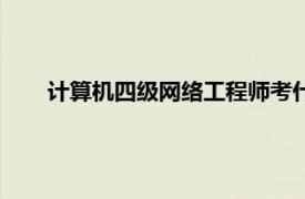 計算機四級網絡工程師考什么（計算機四級網絡工程師）