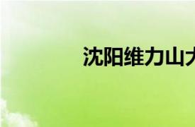 沈陽維力山大電腦培訓學校