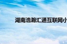 湖南浩瀚匯通互聯網小額貸款有限公司好下款嗎