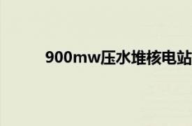 900mw壓水堆核電站系統(tǒng)與設備基本系統(tǒng)名稱