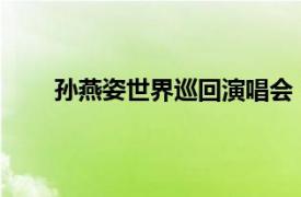 孫燕姿世界巡回演唱會（2014孫燕姿巡回演唱會）