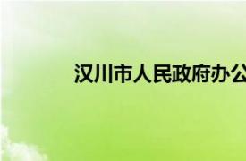 漢川市人民政府辦公室主任高厚華生平介紹