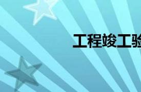 工程竣工驗收 建筑術語