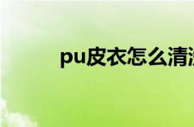 pu皮衣怎么清洗和保養（PU皮）