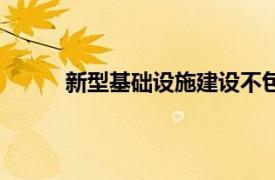 新型基礎設施建設不包括（新型基礎設施建設）