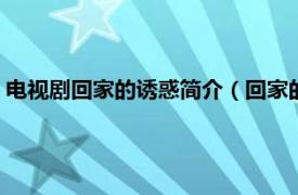 電視劇回家的誘惑簡介（回家的誘惑 2011年林添一執導電視劇）