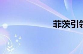 菲茨引領潮流的人