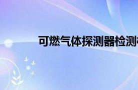 可燃氣體探測器檢測機構（可燃氣體探測器）
