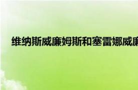 維納斯威廉姆斯和塞雷娜威廉姆斯的情史（維納斯威廉姆斯）