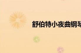 舒伯特小夜曲鋼琴譜（舒伯特小夜曲）