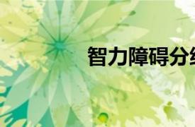 智力障礙分級（智力障礙）