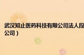 武漢知止醫藥科技有限公司法人段鳳嬌的愛人是誰（武漢知止醫藥科技有限公司）