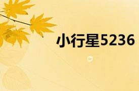 小行星5236（小行星5228）