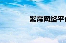 紫霞網絡平臺（紫霞湖網）