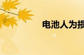 電池人為損壞（電池人）