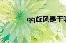 qq旋風是干嘛的（QQ旋風）