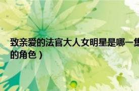 致親愛的法官大人女明星是哪一集（朱恩 電視劇《致親愛的法官大人》中的角色）
