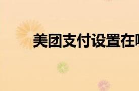 美團支付設置在哪里找（美團支付）