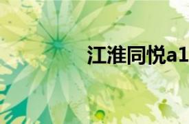 江淮同悅a13（江淮同悅）