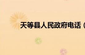 天等縣人民政府電話（天等縣人民政府辦公室）
