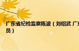 廣東省紀檢監察陳波（劉紹武 廣東省紀委第五紀檢監察室副處級紀檢監察員）