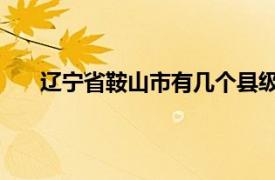 遼寧省鞍山市有幾個縣級市（鞍山 遼寧省轄地級市）