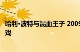 哈利·波特與混血王子 2009年EA Bright light開發的電子游戲