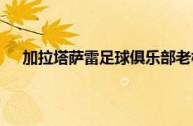 加拉塔薩雷足球俱樂部老板（加拉塔薩雷體育俱樂部）
