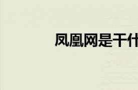 鳳凰網是干什么的（鳳凰網）