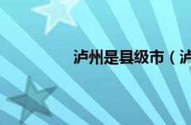 瀘州是縣級市（瀘州 四川省轄地級市）