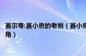 賽爾號:賽小息的老爸（賽小息 中國動畫片《賽爾號》系列里的主角）
