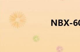 NBX-6010光度計
