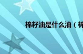 棉籽油是什么油（棉籽油 以棉花籽榨的油）