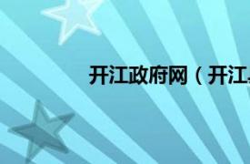 開江政府網（開江縣人民政府工作規則）