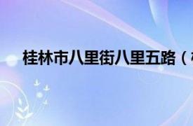桂林市八里街八里五路（桂林八里街經(jīng)濟技術(shù)開發(fā)區(qū)）