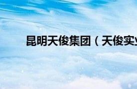 昆明天俊集團（天俊實業集團 云南有限責任公司）