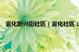 宣化新興街社區(qū)（宣化社區(qū) 山東四方區(qū)嘉興路街道下轄社區(qū)）
