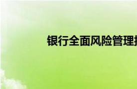 銀行全面風險管理報告（寧波銀行 銀行）