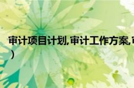 審計項目計劃,審計工作方案,審計實施方案的區別（審計項目計劃）