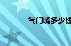 氣門嘴多少錢一個（氣門嘴）