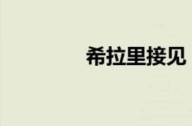 希拉里接見（希拉里訪華）