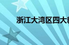 浙江大灣區四大新區（浙江大灣區）