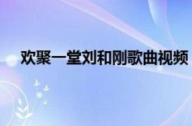 歡聚一堂劉和剛歌曲視頻（歡聚一堂 劉和剛演唱歌曲）