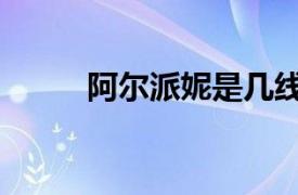 阿爾派妮是幾線品牌（阿爾派妮）