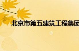 北京市第五建筑工程集團有限公司混凝土攪拌站招標